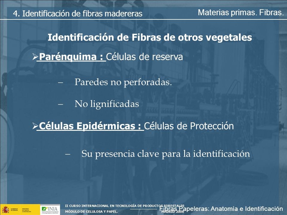 Identificación de Fibras de otros vegetales
