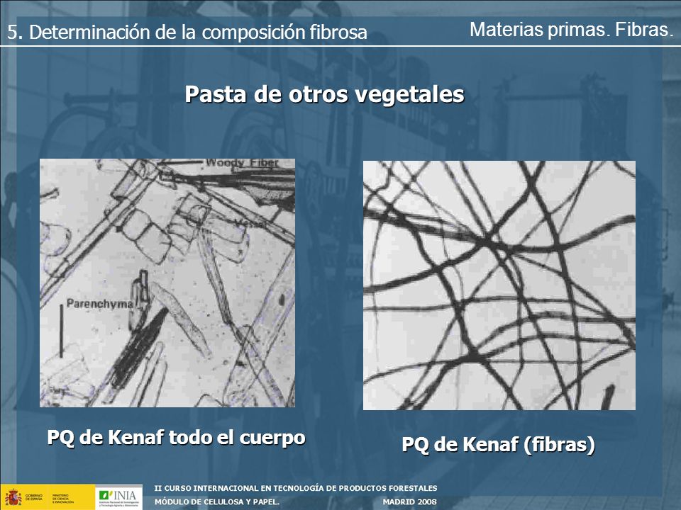 Pasta de otros vegetales PQ de Kenaf todo el cuerpo