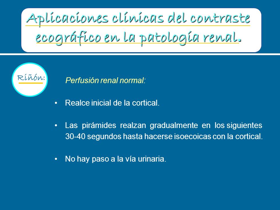 Aplicaciones clínicas del contraste ecográfico en la patología renal.
