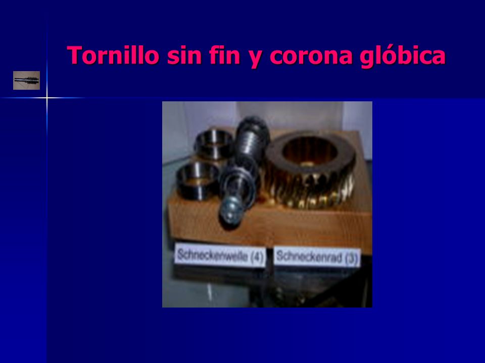 Tornillo sin fin y corona glóbica