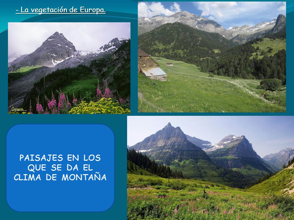 PAISAJES EN LOS QUE SE DA EL CLIMA DE MONTAÑA