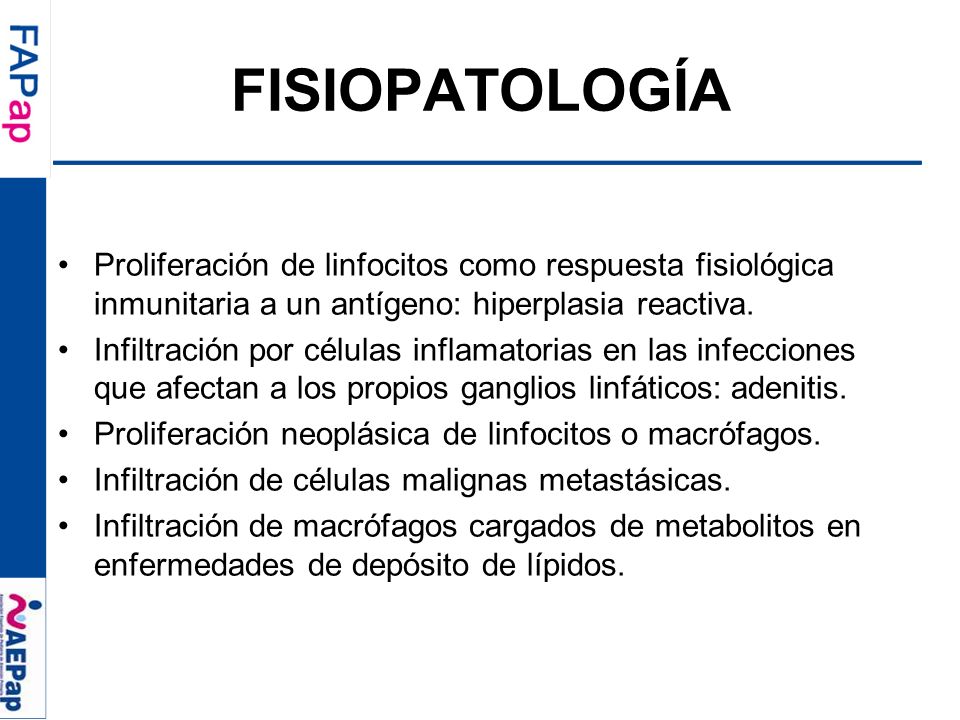 FISIOPATOLOGÍA Proliferación de linfocitos como respuesta fisiológica inmunitaria a un antígeno: hiperplasia reactiva.