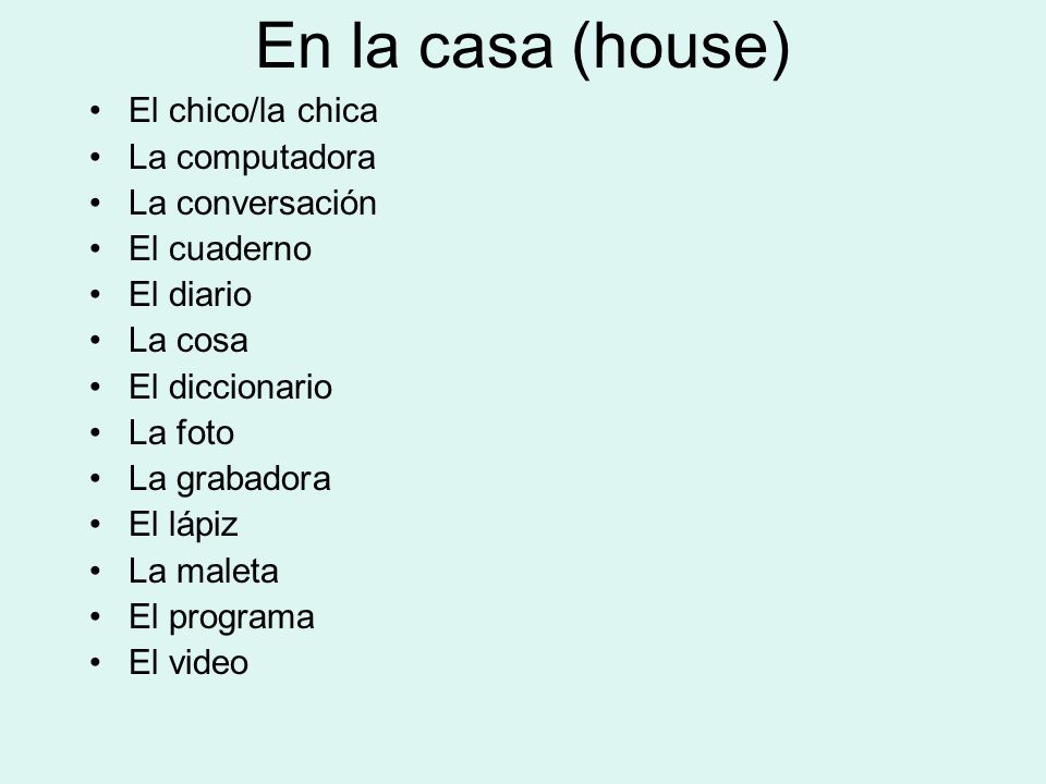 En la casa (house) El chico/la chica La computadora La conversación