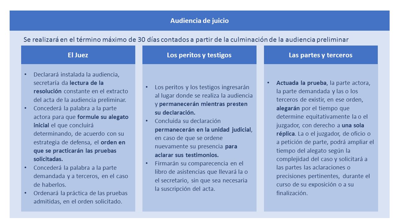 Audiencia de juicio Se realizará en el término máximo de 30 días contados a partir de la culminación de la audiencia preliminar.