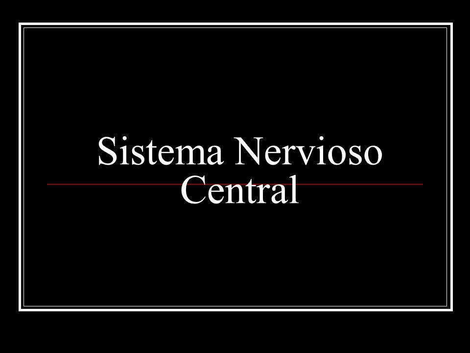 Sistema Nervioso Central