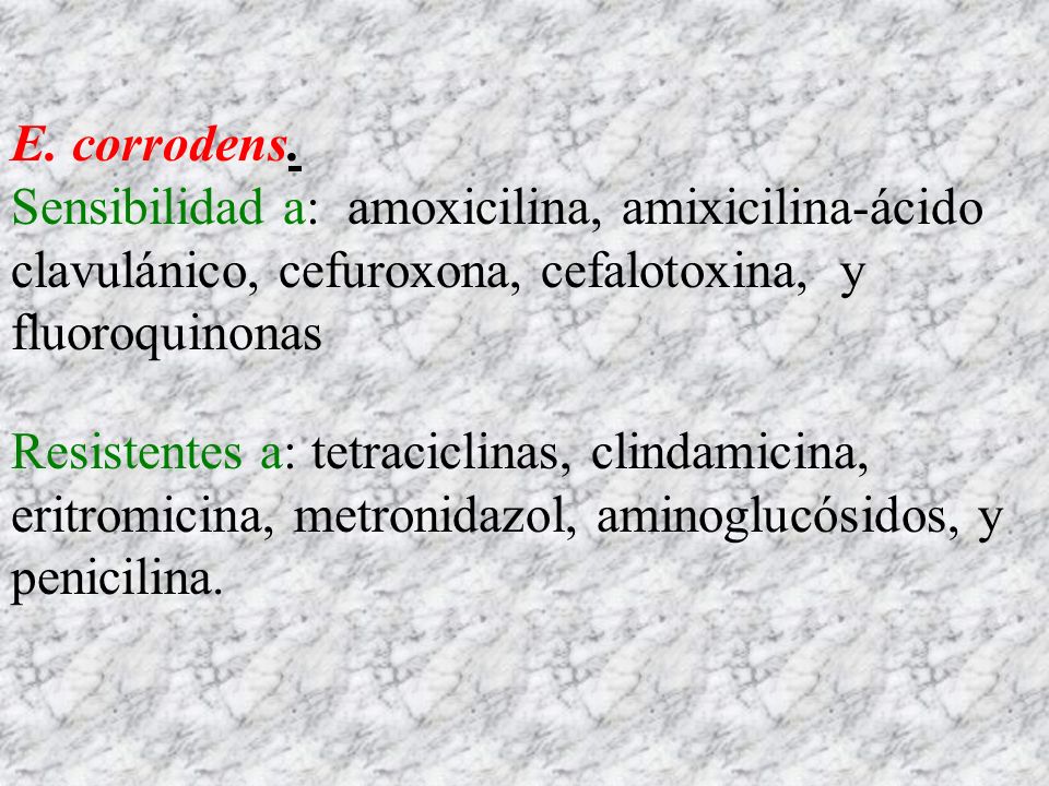 E. corrodens. Sensibilidad a: amoxicilina, amixicilina-ácido clavulánico, cefuroxona, cefalotoxina, y fluoroquinonas.