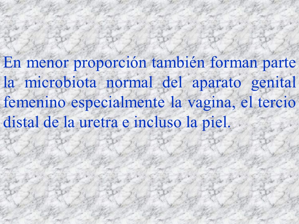 En menor proporción también forman parte la microbiota normal del aparato genital femenino especialmente la vagina, el tercio distal de la uretra e incluso la piel.