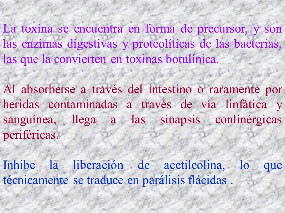 La toxina se encuentra en forma de precursor, y son las enzimas digestivas y proteolíticas de las bacterias, las que la convierten en toxinas botulínica.