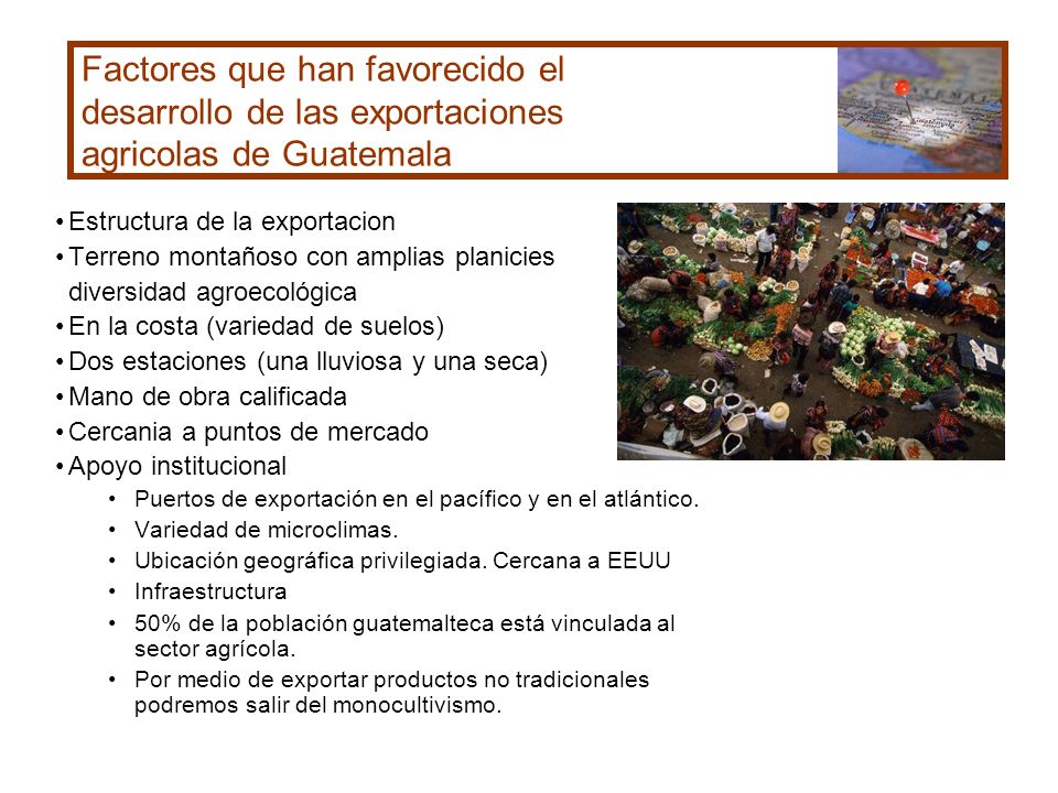 Factores que han favorecido el desarrollo de las exportaciones agricolas de Guatemala