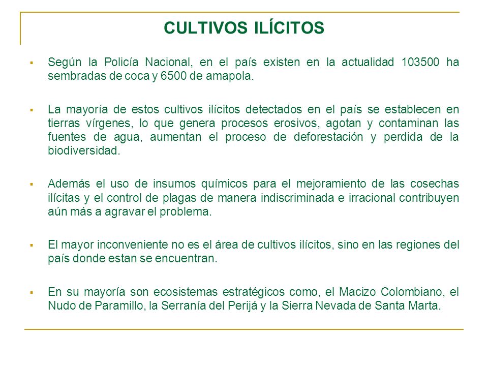 CULTIVOS ILÍCITOS Según la Policía Nacional, en el país existen en la actualidad ha sembradas de coca y 6500 de amapola.