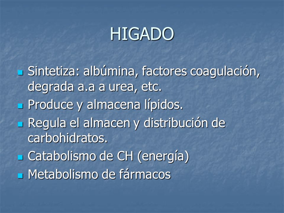 HIGADO Sintetiza: albúmina, factores coagulación, degrada a.a a urea, etc. Produce y almacena lípidos.