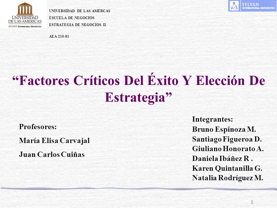 Factores Críticos Del Éxito Y Elección De Estrategia