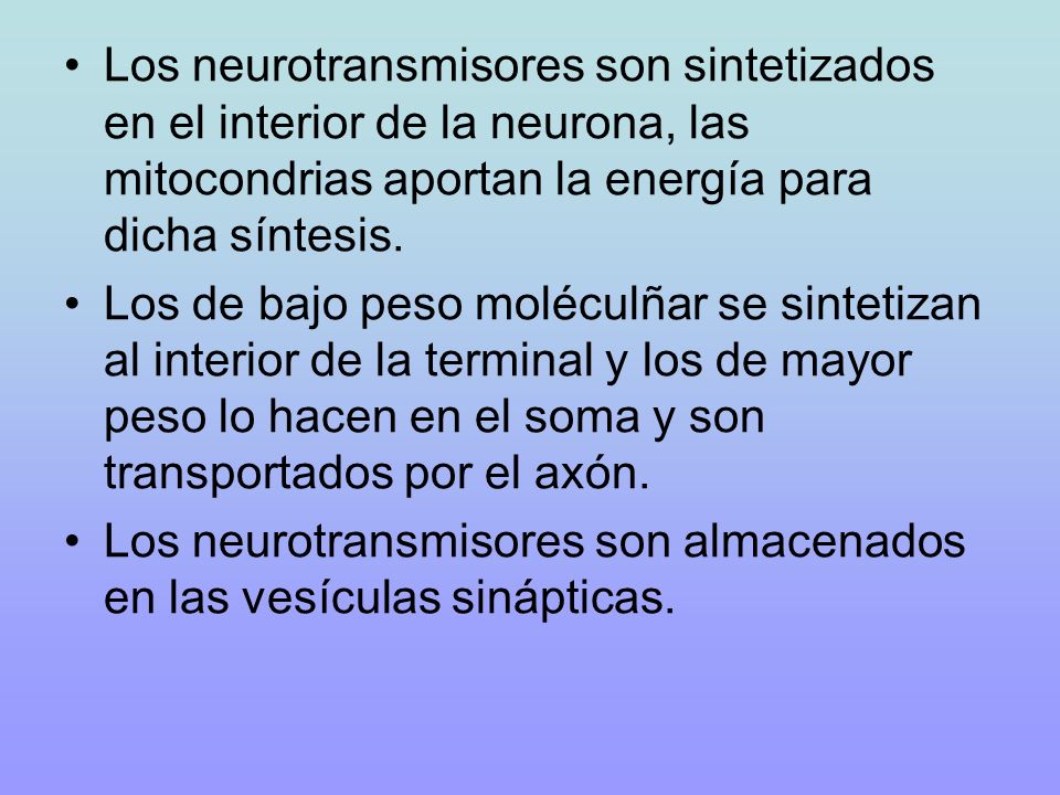 Los neurotransmisores son sintetizados en el interior de la neurona, las mitocondrias aportan la energía para dicha síntesis.