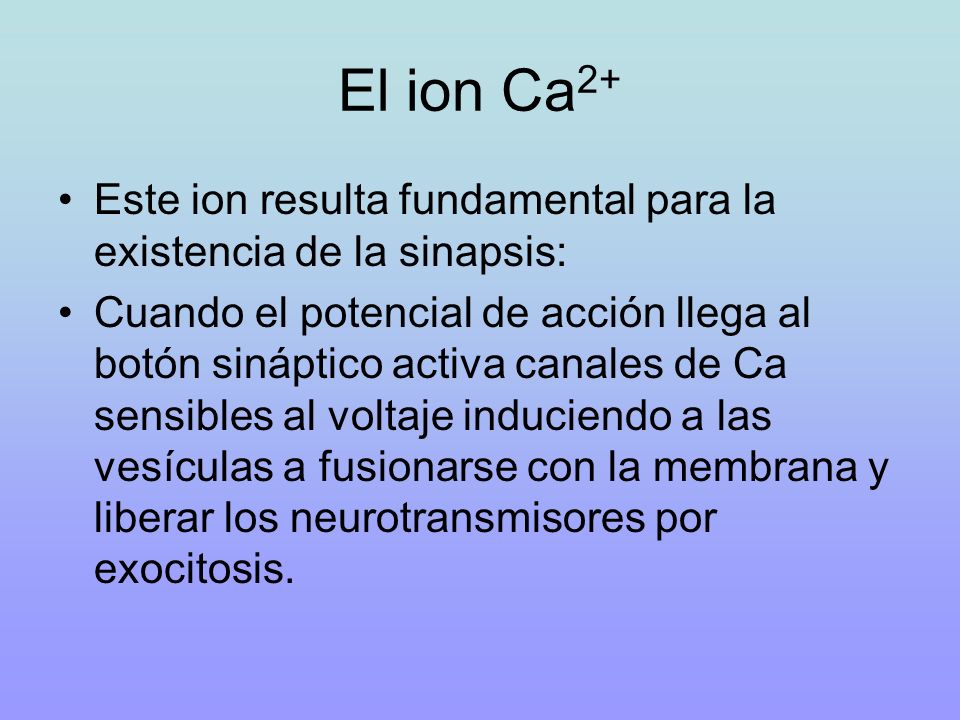 El ion Ca2+ Este ion resulta fundamental para la existencia de la sinapsis: