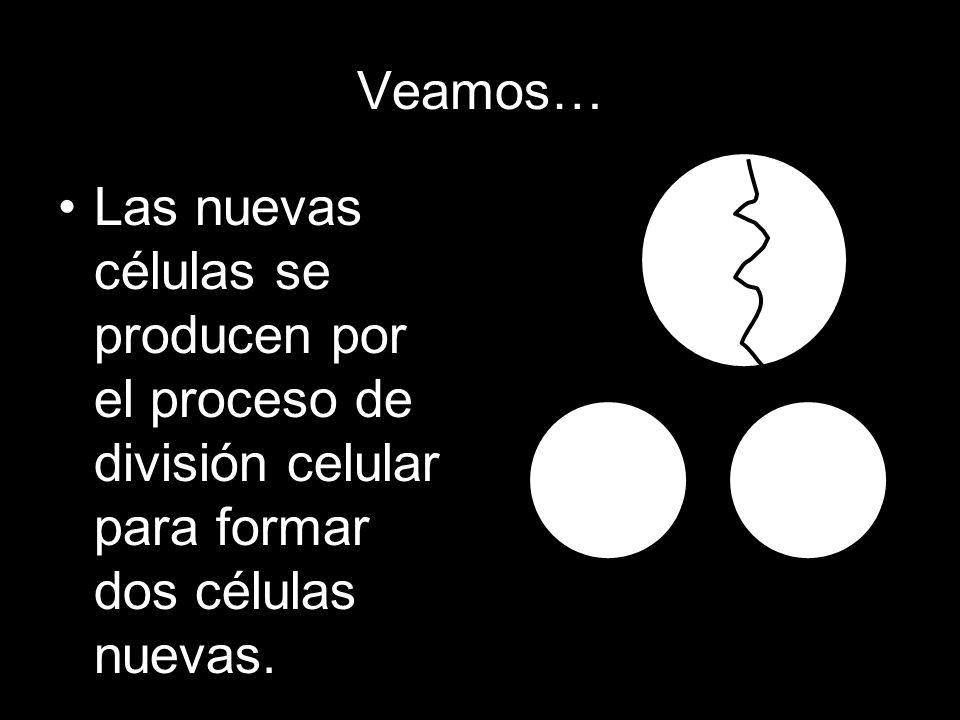 Veamos… Las nuevas células se producen por el proceso de división celular para formar dos células nuevas.