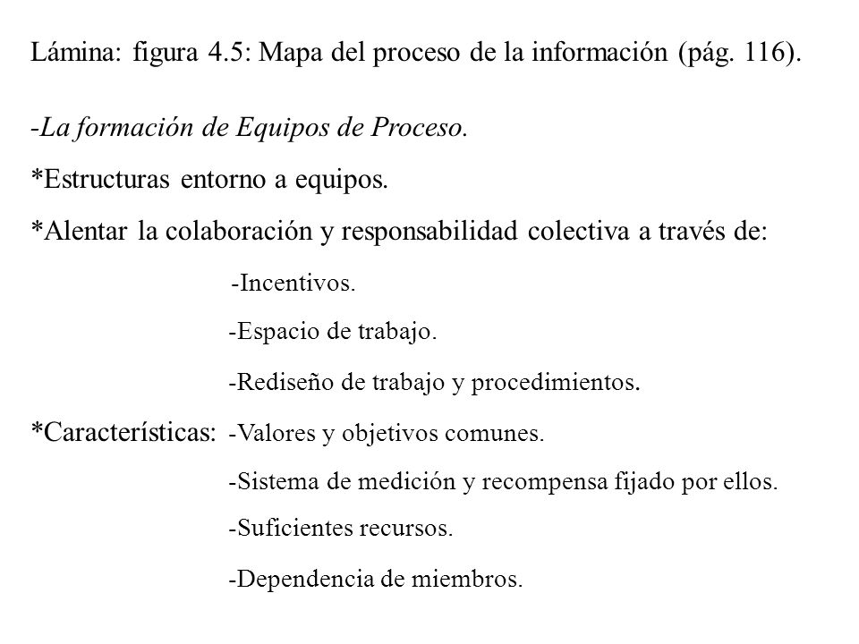 Lámina: figura 4.5: Mapa del proceso de la información (pág. 116).