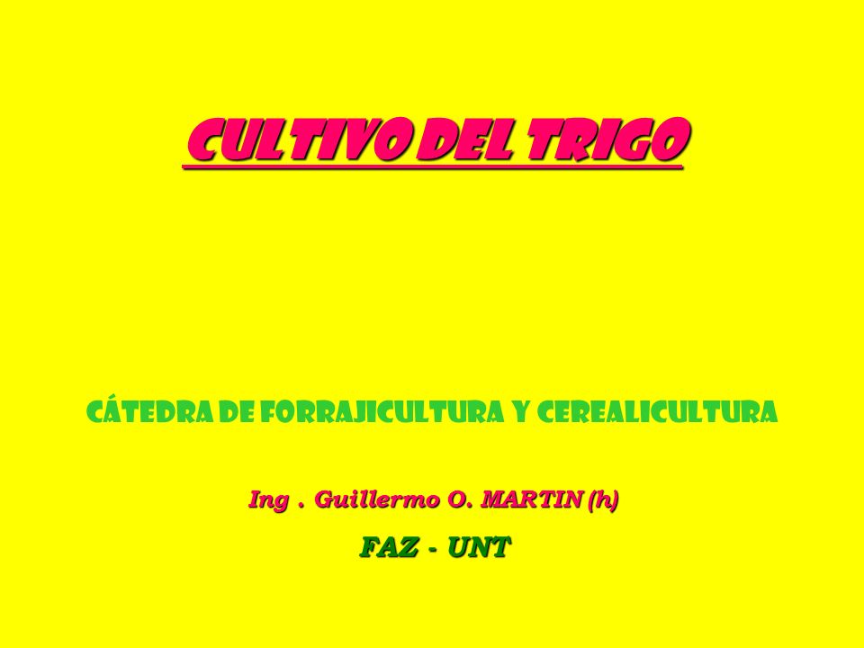 Ing . Guillermo O. MARTIN (h)