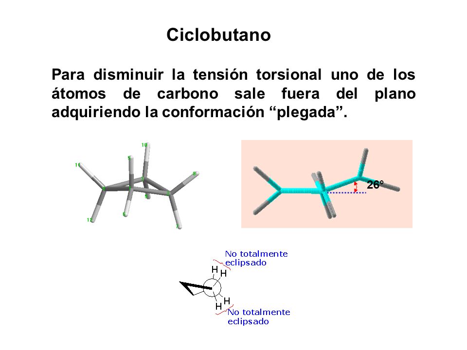 Ciclobutano Para disminuir la tensión torsional uno de los átomos de carbono sale fuera del plano adquiriendo la conformación plegada .