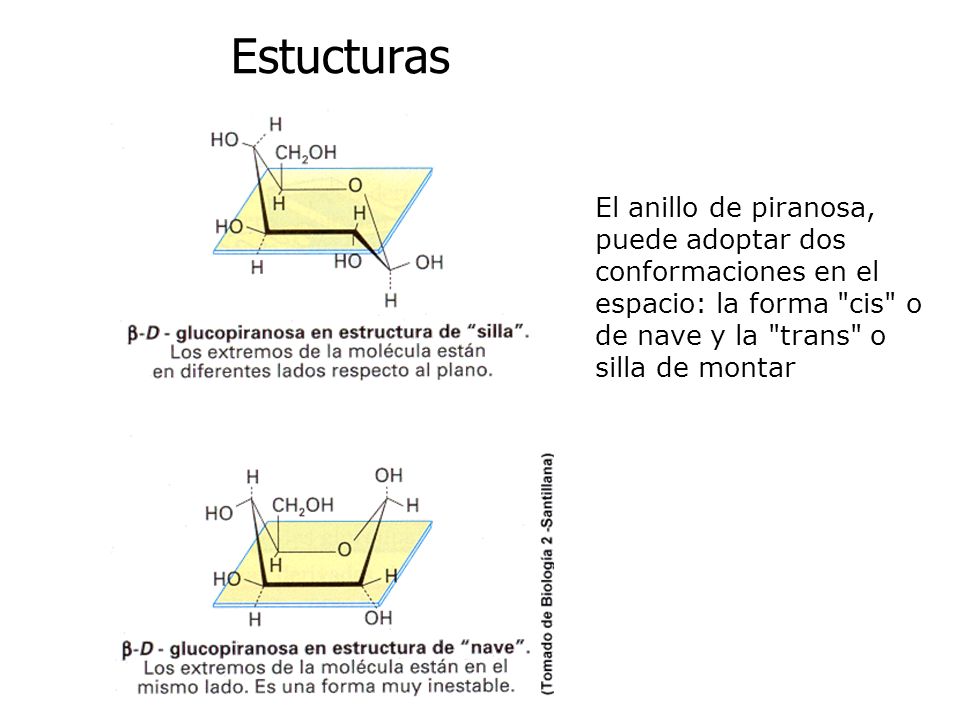 Estucturas El anillo de piranosa, puede adoptar dos conformaciones en el espacio: la forma cis o de nave y la trans o silla de montar.