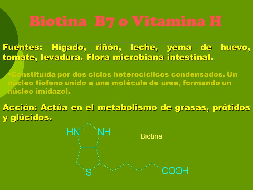 Biotina B7 o Vitamina H Fuentes: Hígado, riñón, leche, yema de huevo, tomate, levadura. Flora microbiana intestinal.