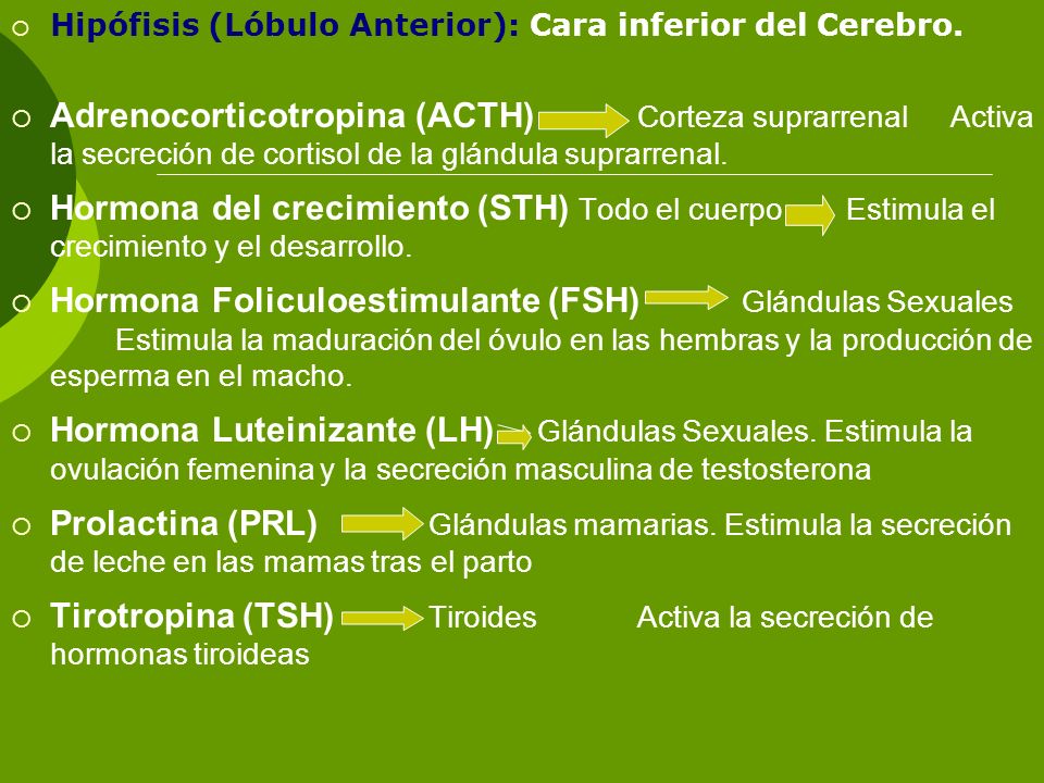 Tirotropina (TSH) Tiroides Activa la secreción de hormonas tiroideas