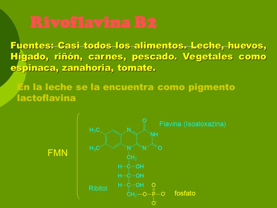 Rivoflavina B2 Fuentes: Casi todos los alimentos. Leche, huevos, Hígado, riñón, carnes, pescado. Vegetales como espinaca, zanahoria, tomate.