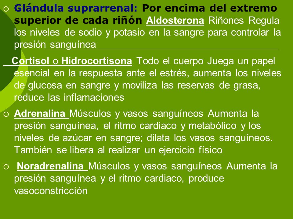 Glándula suprarrenal: Por encima del extremo superior de cada riñón Aldosterona Riñones Regula los niveles de sodio y potasio en la sangre para controlar la presión sanguínea