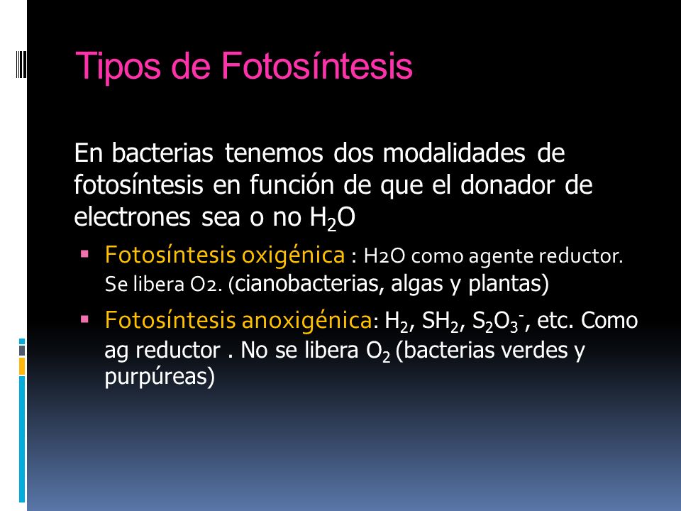 Tipos de Fotosíntesis En bacterias tenemos dos modalidades de fotosíntesis en función de que el donador de electrones sea o no H2O.