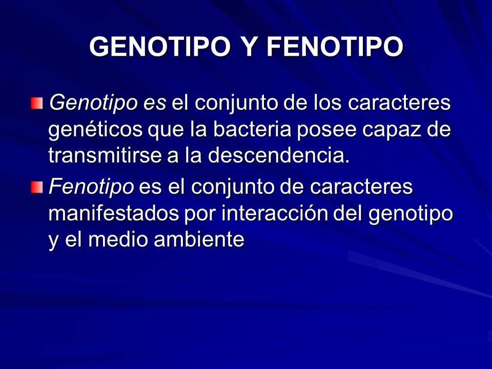 GENOTIPO Y FENOTIPO Genotipo es el conjunto de los caracteres genéticos que la bacteria posee capaz de transmitirse a la descendencia.