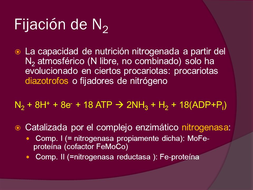 N2 + 8H+ + 8e + 18 ATP  2NH3 + H (ADP + Pi)