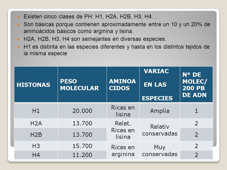 Existen cinco clases de PH: H1, H2A, H2B, H3, H4. .