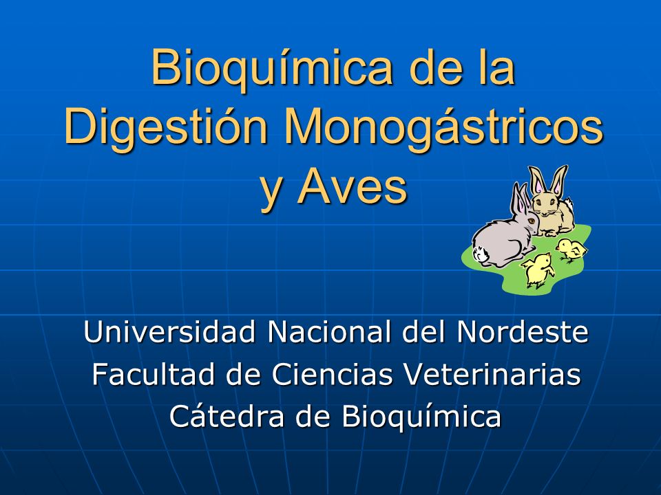 Bioquímica de la Digestión Monogástricos y Aves