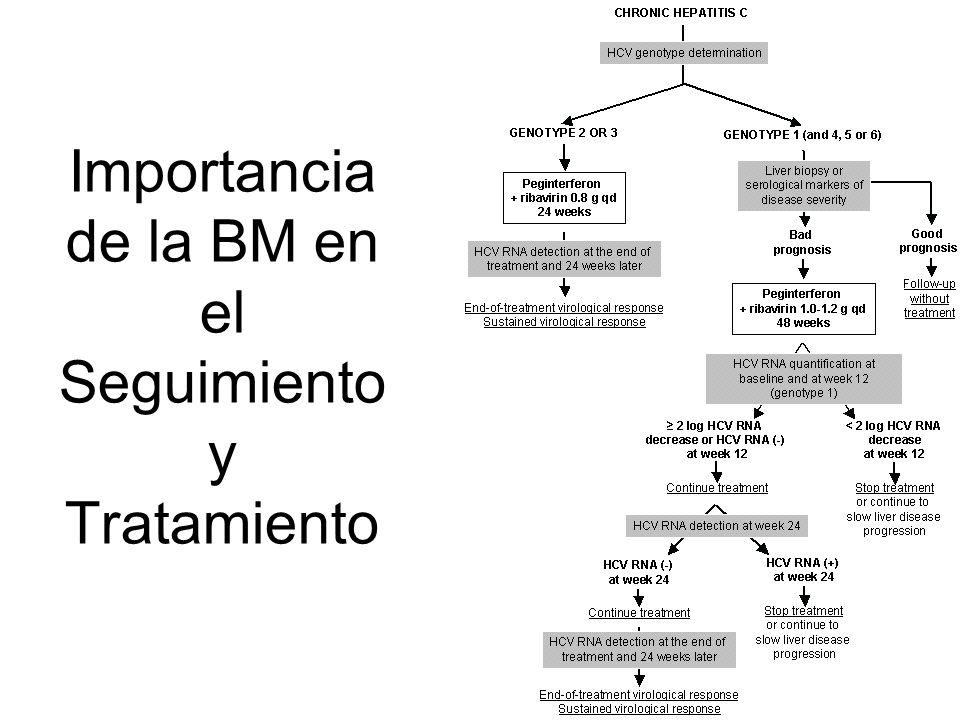 Importancia de la BM en el Seguimiento y Tratamiento