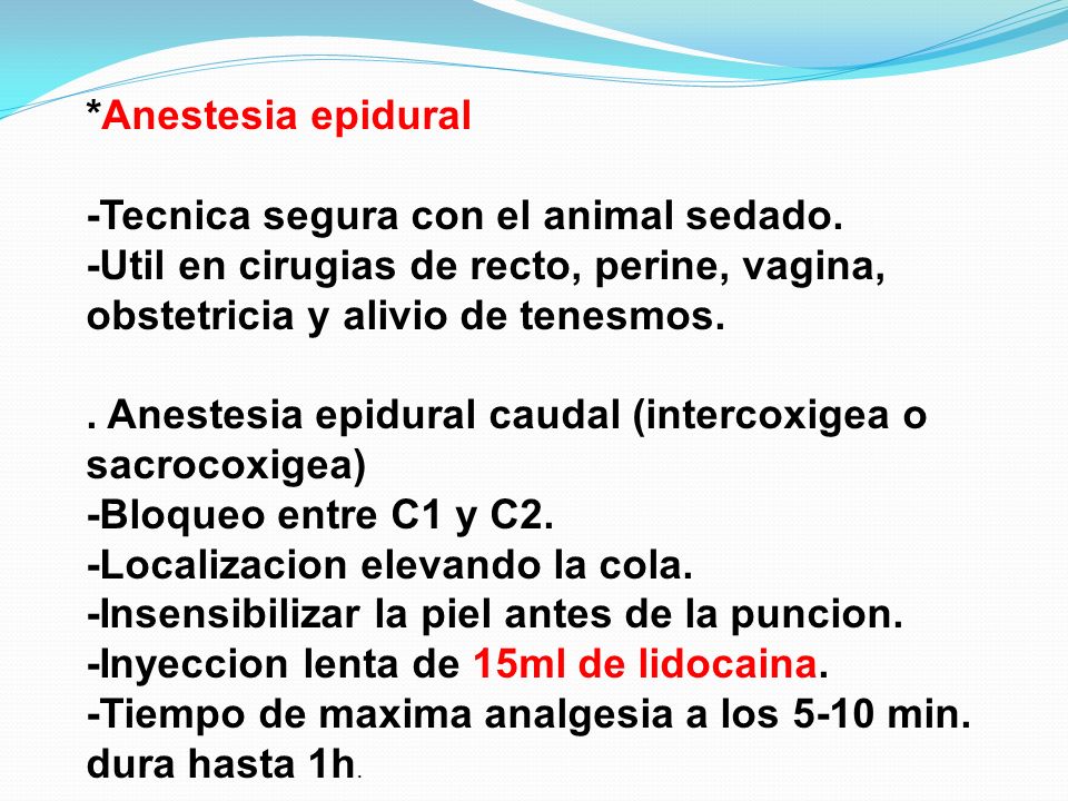*Anestesia epidural -Tecnica segura con el animal sedado. -Util en cirugias de recto, perine, vagina, obstetricia y alivio de tenesmos.