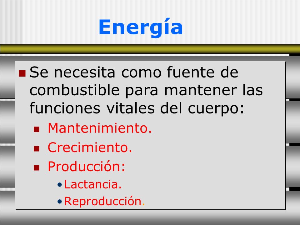 Energía Se necesita como fuente de combustible para mantener las funciones vitales del cuerpo: Mantenimiento.