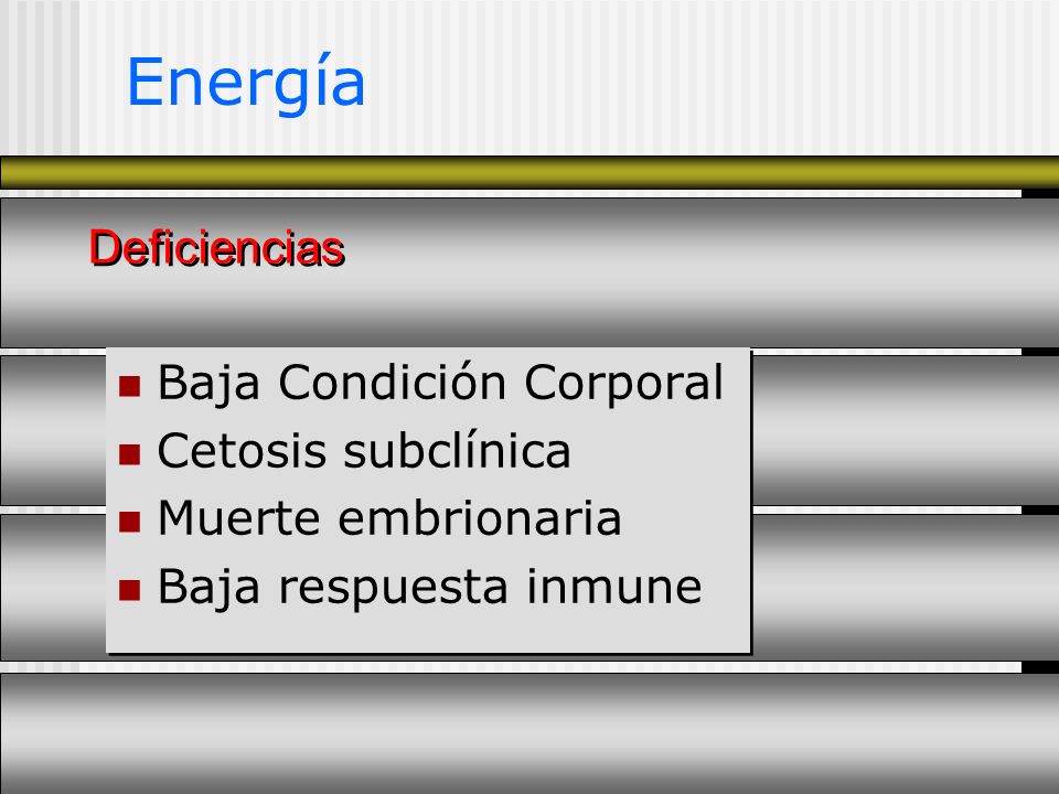 Energía Deficiencias Baja Condición Corporal Cetosis subclínica