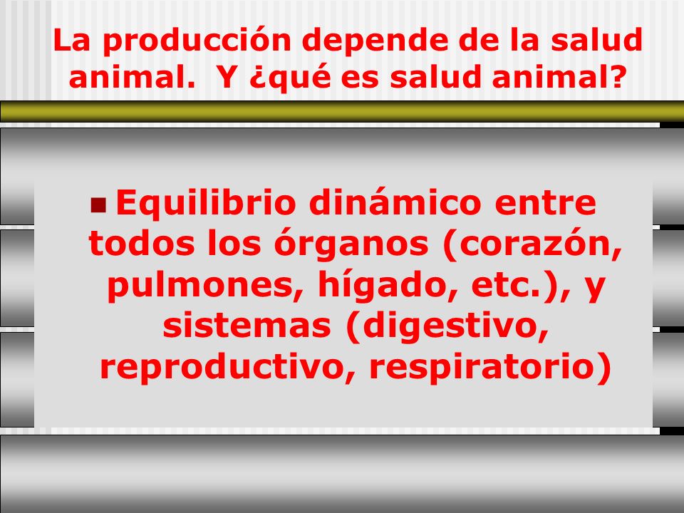 La producción depende de la salud animal. Y ¿qué es salud animal