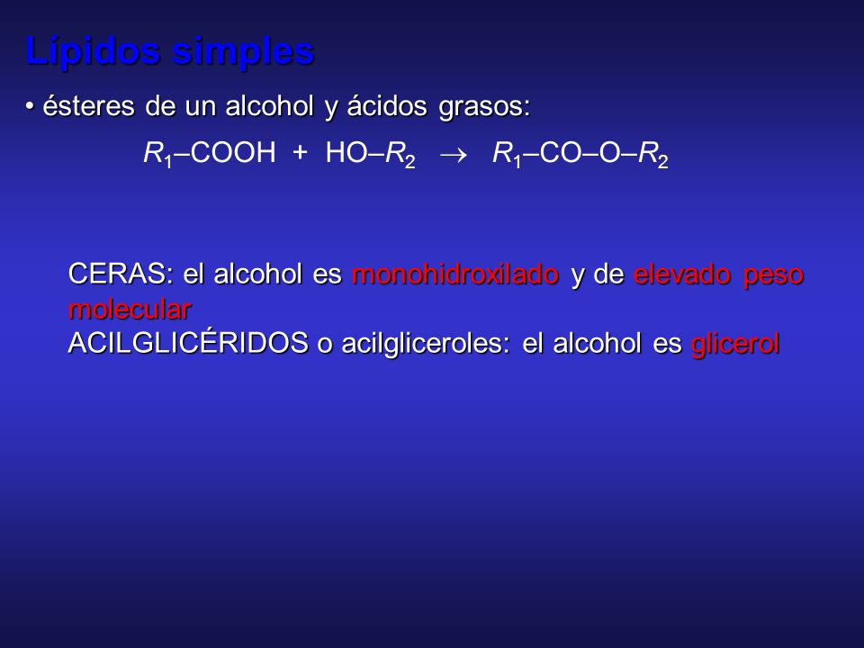 Lípidos simples • ésteres de un alcohol y ácidos grasos: