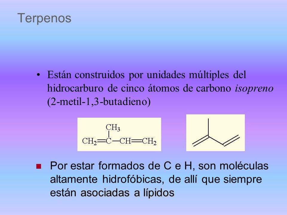 Terpenos Están construidos por unidades múltiples del hidrocarburo de cinco átomos de carbono isopreno (2-metil-1,3-butadieno)