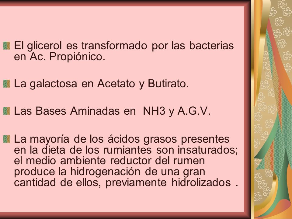 El glicerol es transformado por las bacterias en Ac. Propiónico.