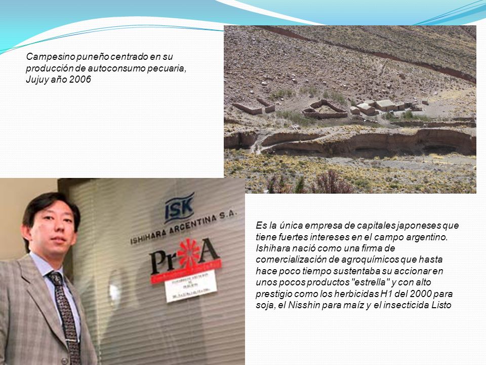 Campesino puneño centrado en su producción de autoconsumo pecuaria, Jujuy año 2006