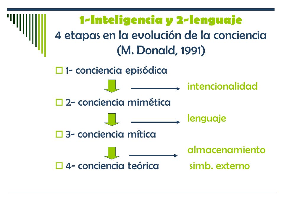 1-Inteligencia y 2-lenguaje 4 etapas en la evolución de la conciencia (M. Donald, 1991)
