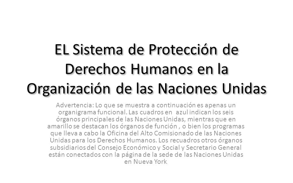 EL Sistema de Protección de Derechos Humanos en la Organización de las Naciones Unidas
