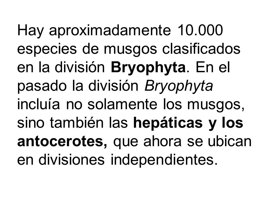 Hay aproximadamente especies de musgos clasificados en la división Bryophyta.