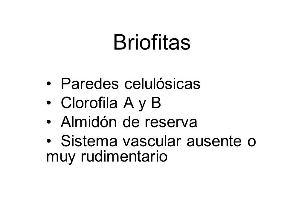 Briofitas Paredes celulósicas Clorofila A y B Almidón de reserva