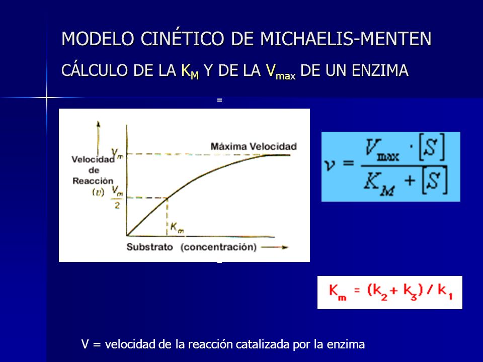 MODELO CINÉTICO DE MICHAELIS-MENTEN CÁLCULO DE LA KM Y DE LA Vmax DE UN ENZIMA