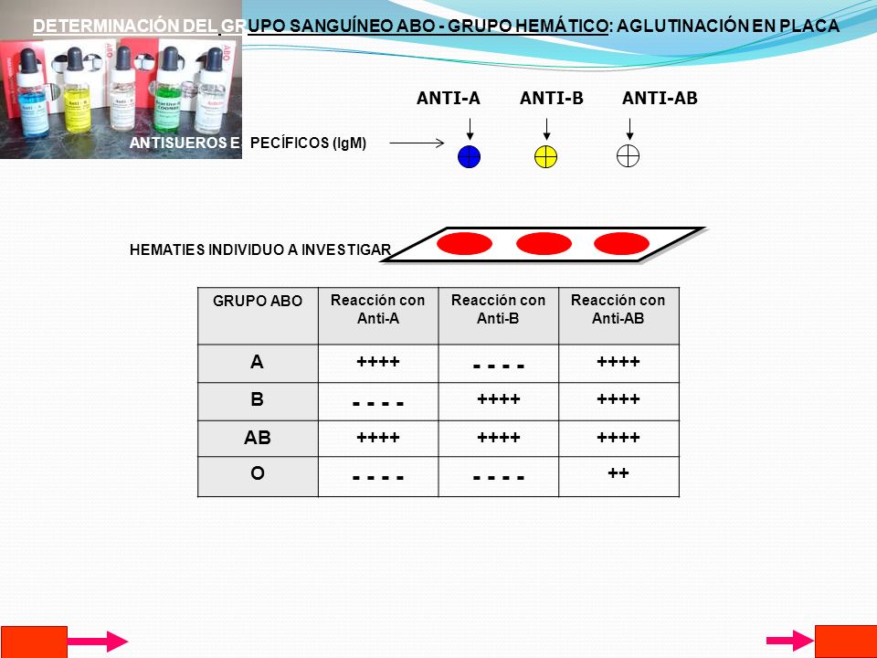 DETERMINACIÓN DEL GRUPO SANGUÍNEO ABO - GRUPO HEMÁTICO: AGLUTINACIÓN EN PLACA