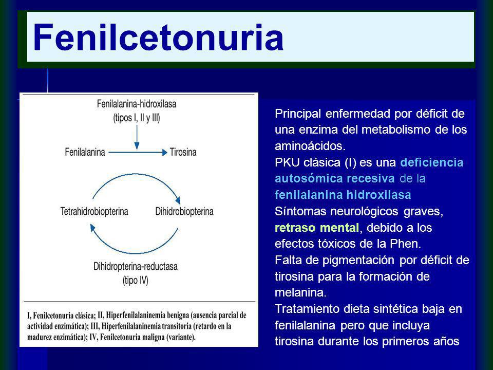 Fenilcetonuria Principal enfermedad por déficit de una enzima del metabolismo de los aminoácidos.