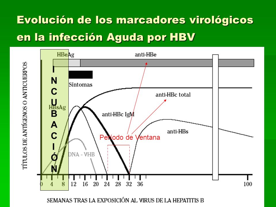 Evolución de los marcadores virológicos en la infección Aguda por HBV
