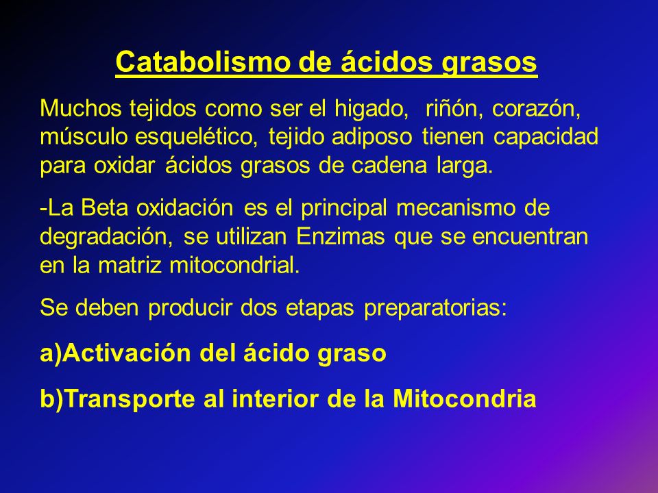 Catabolismo de ácidos grasos
